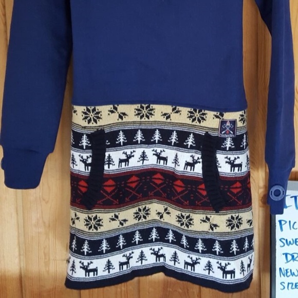 Picture Organic Dresses & Skirts - Picture Organic Women Sweater Hoodie Dress NWOT